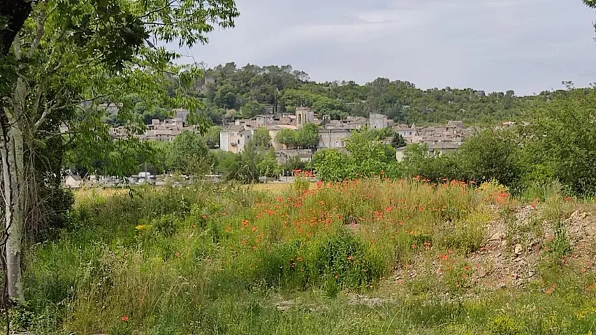 Apartamento de vacaciones para 3 personas, con vistas y jardín - 1