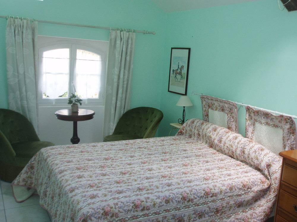 Gîte de Dino - 10 personnes in Coteaux sur Loire, Vallée de la Loire