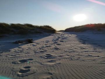 Ferieudlejning til 5 Personer i Lyngså, Nordøstjylland, Billede 4
