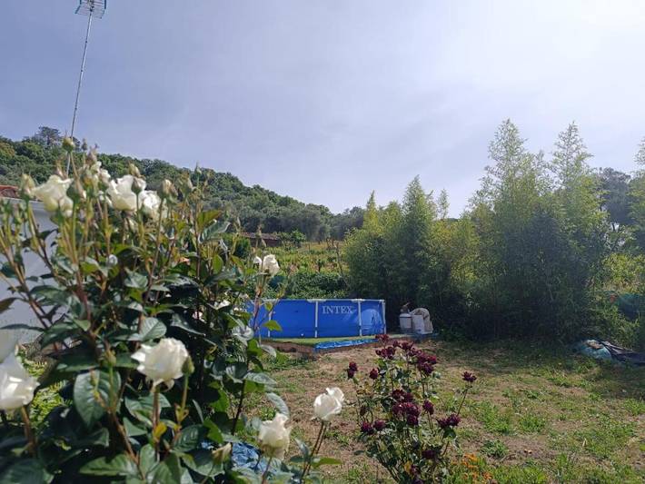 Chalet para 4 personas, con vistas además de piscina y jardín, Se admiten mascotas en Sierra de Huelva - 3