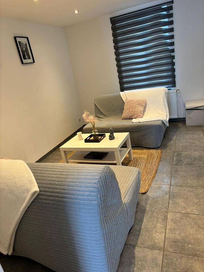 Location de vacances pour 6 personnes, avec terrasse et jardin, animaux acceptés dans Aéroport de Charleroi Bruxelles Sud Gosselies - 3