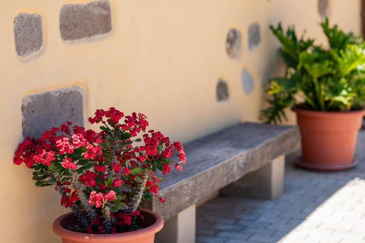 Casa rural para 4 personas, con terraza y jardín en Vega de San Mateo - 4