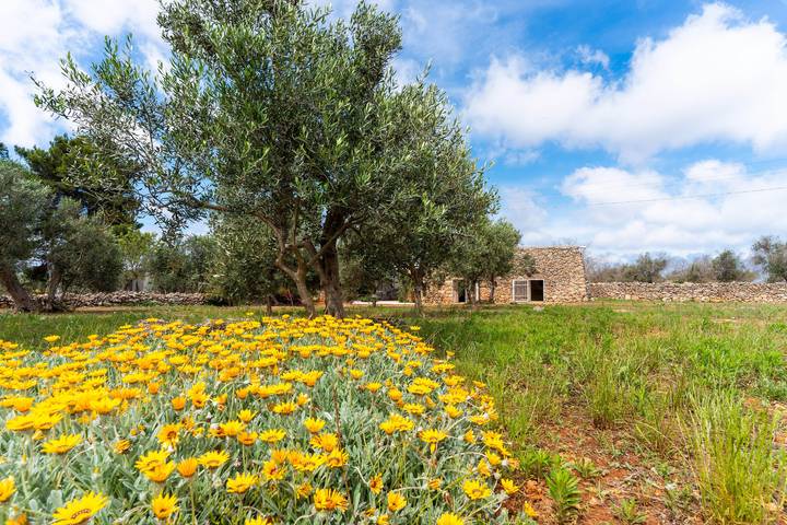Trullo per 5 persone a Sannicola
