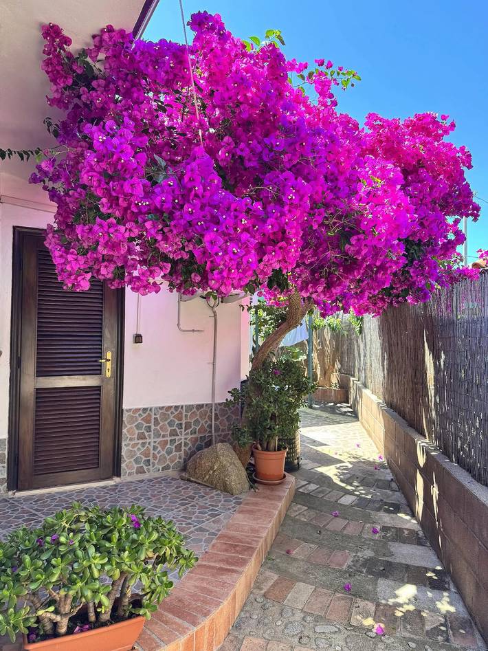 Glamping per 2 persone, con giardino in Calabria