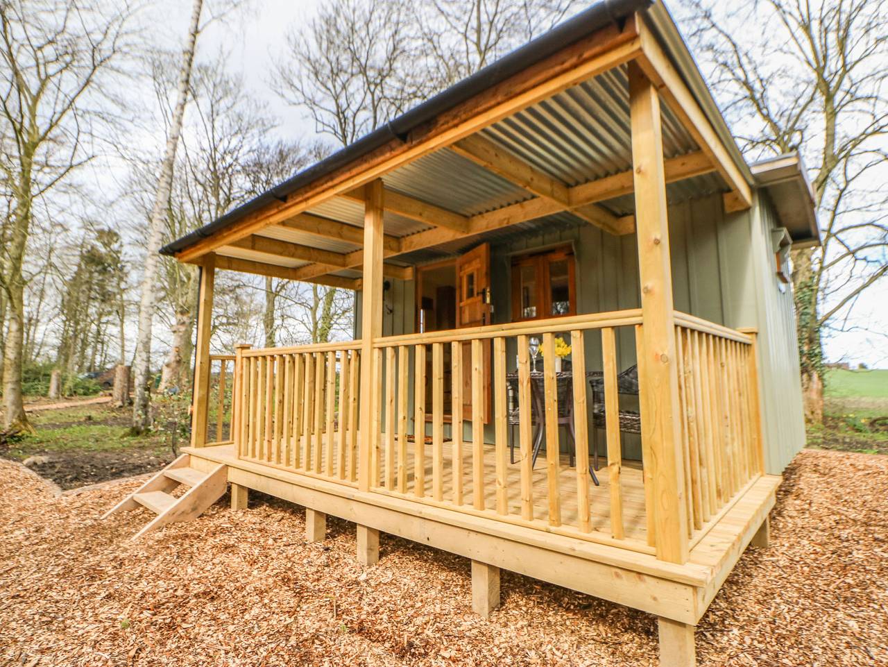 Bracken Fern in North Yorkshire