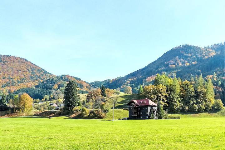 Ferienwohnung für 4 Personen, mit Balkon in Grünau im Almtal