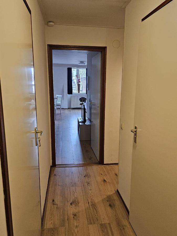 Gîte pour 4 personnes, avec vue et balcon à Hoorn - 3