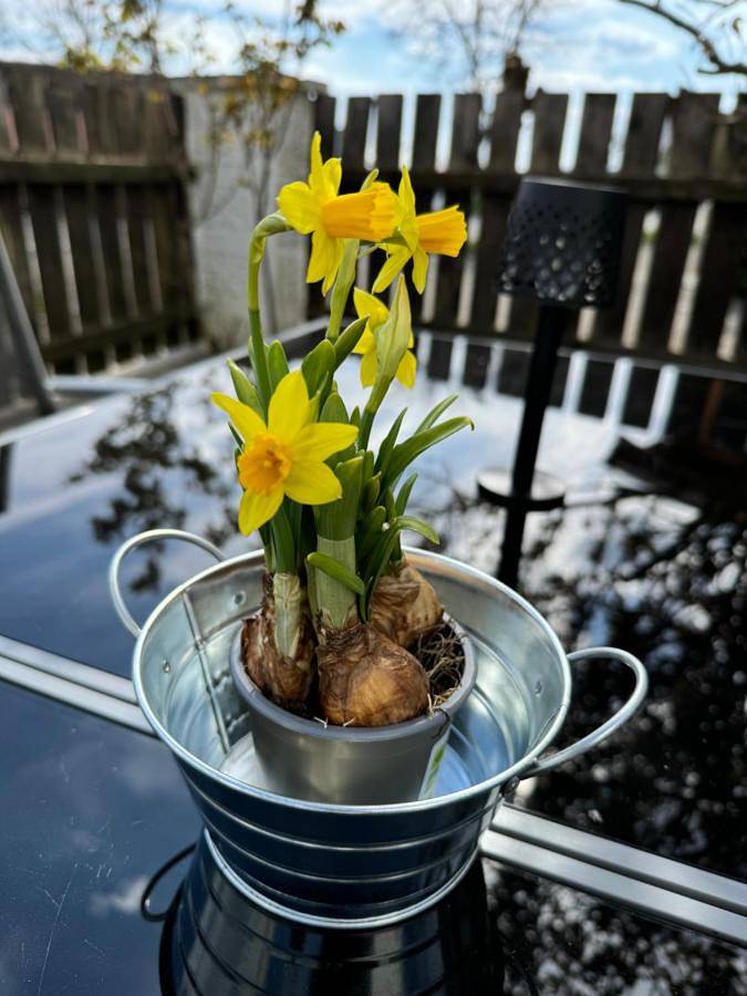Ferienhaus für 7 Personen, mit Kinderpool und Garten sowie Ausblick, kinderfreundlich in Pleinfeld - 3