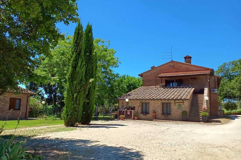 Charm among the olive trees between Umbria and Tuscany in Castiglione del Lago, Trasimeense Meer
