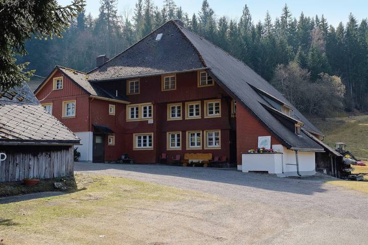 Ferienwohnung für 14 Personen, mit Garten in Feldberg