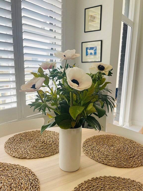 Guesthouse for 4 People in Avalon, New South Wales