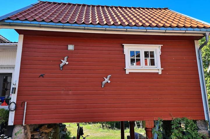 Blockhütte für 5 Personen - 1