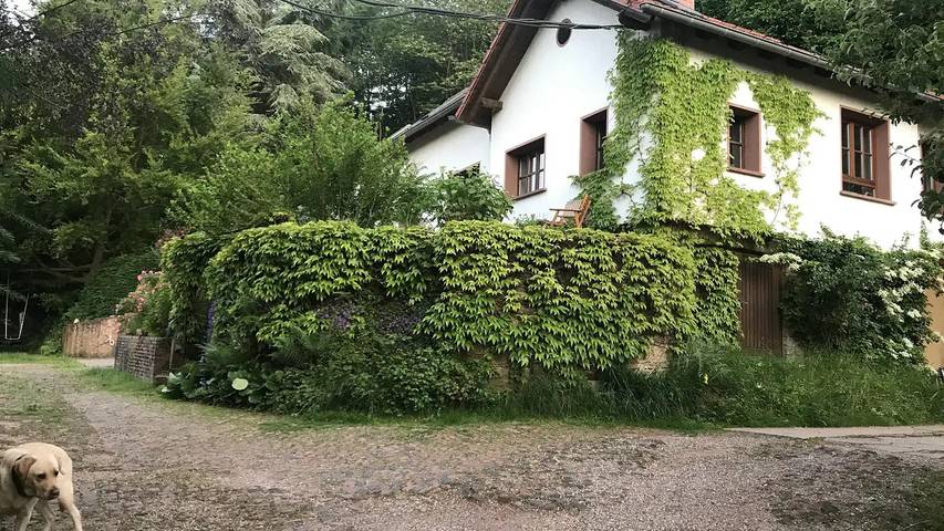 Ferienwohnung für 2 Personen, mit Garten - 1