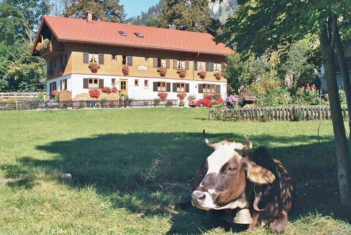 Ferienwohnung für 4 Personen, mit Garten, kinderfreundlich in Bad Hindelang - 2