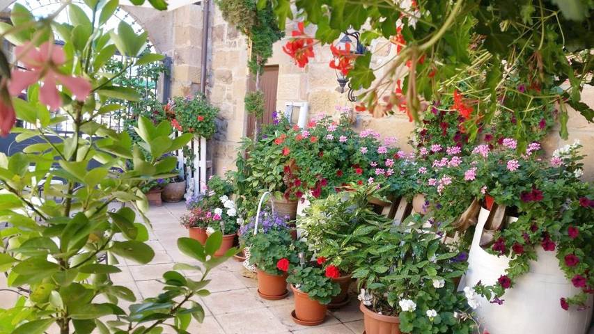 Casa rural para 2 personas, con jardín y terraza en Campoo - 4