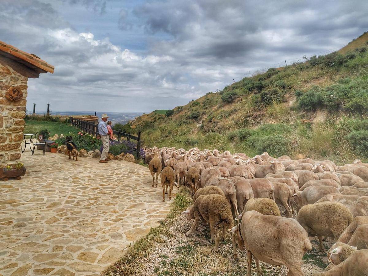 Masía el Cabrero in Villarroya de los Pinares, Provincia de Teruel
