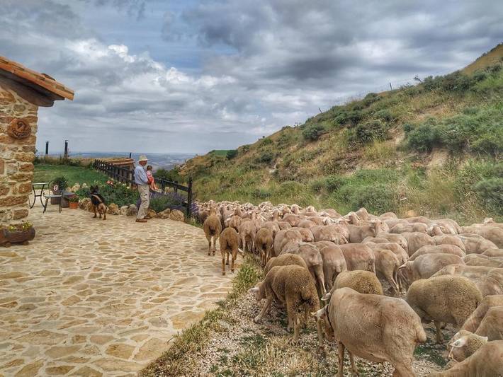 Casa rural para 4 personas, con Terraza además de Jardín y Piscina en Provincia de Teruel - 4