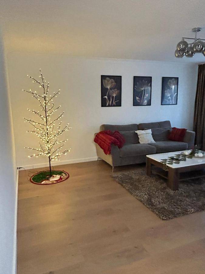 Gîte pour 4 personnes, avec vue, animaux acceptés dans Giurgiu