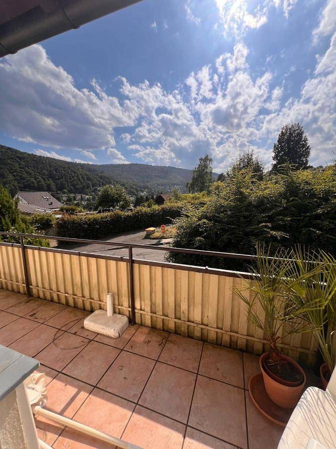 Maison d’hôte pour 2 personnes, avec balcon à Heidelberg - 4