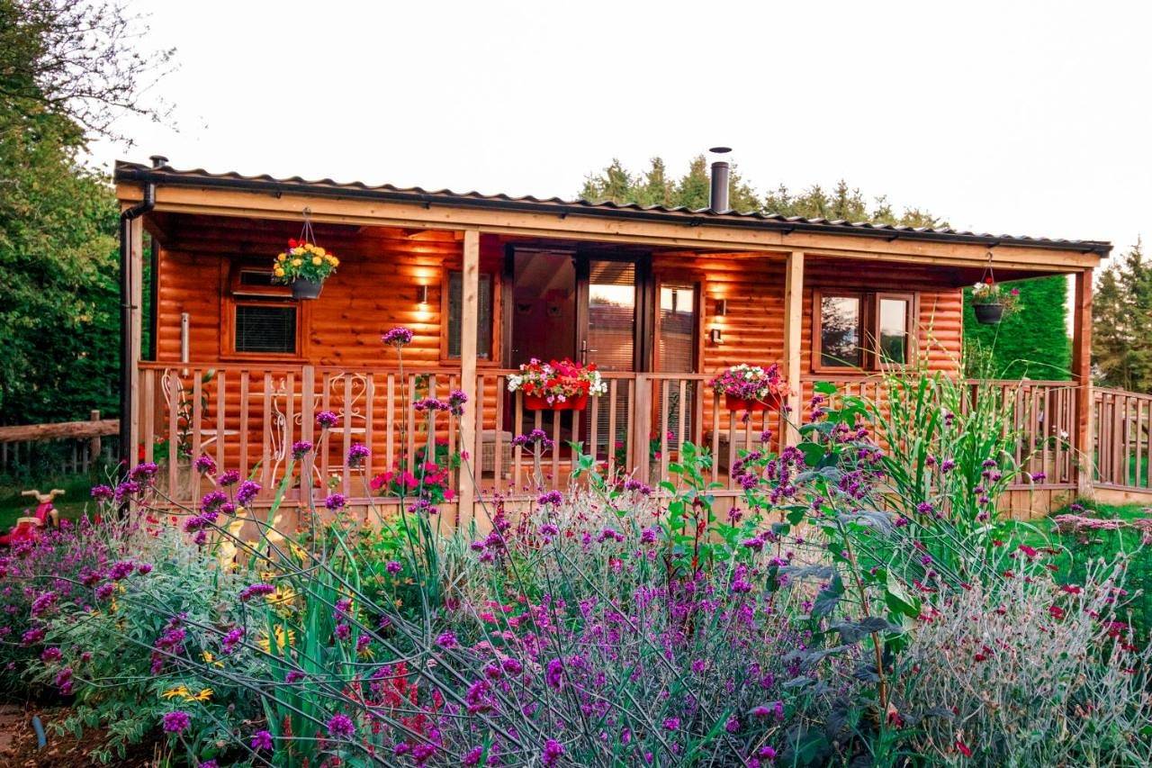 Cherry Tree Glamping in Stroud, Gloucestershire