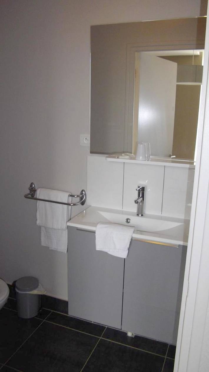 Hôtel pour 2 personnes, avec jardin, animaux acceptés à Précigné - 4