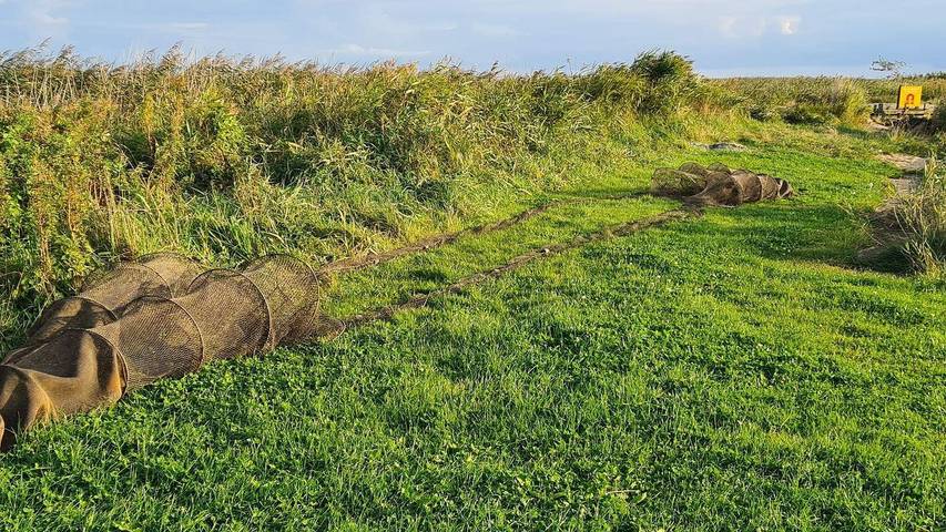 Ferienhaus für 7 Personen, mit Terrasse in Nørhede Vest - 4