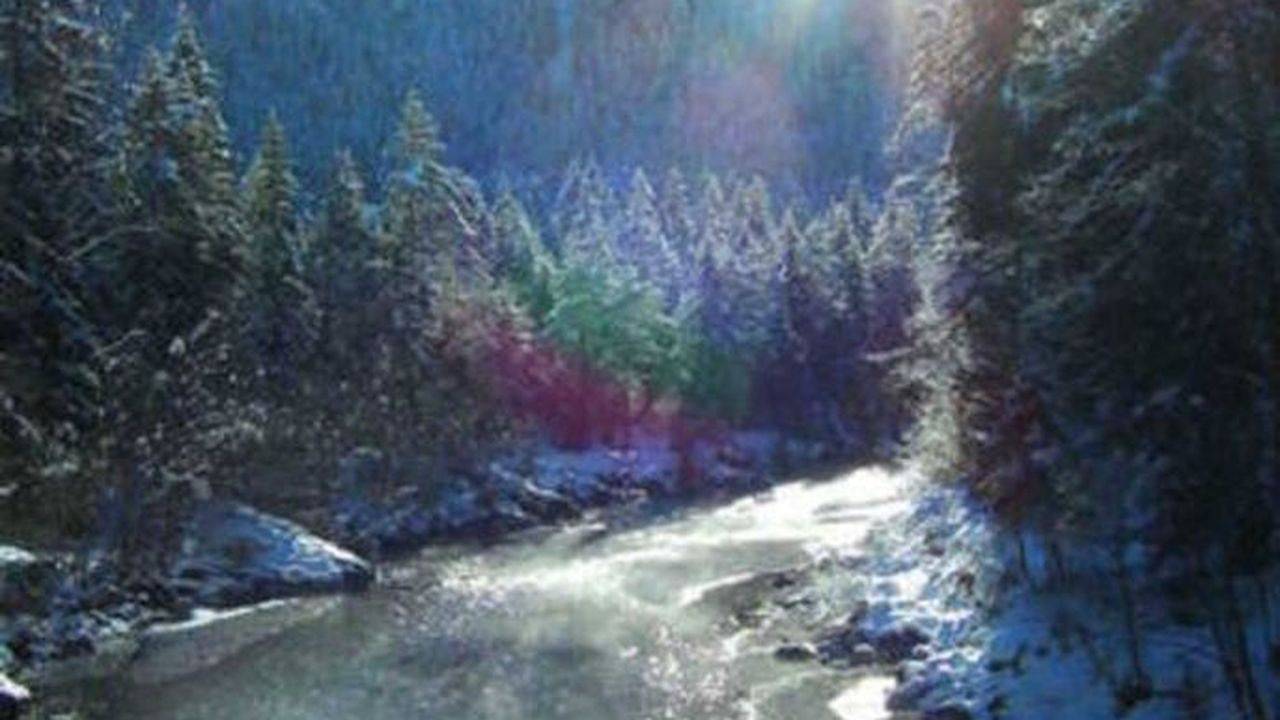 Appartement de vacances entier, Ferienwohnung für 3 Personen (35 m²) in Kreuth in Brunnbichl, Kreuth