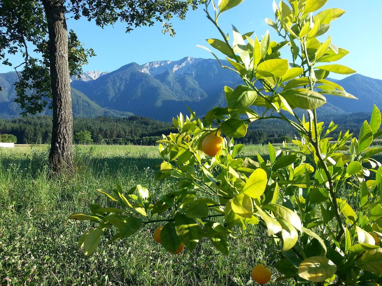 Ganze Ferienwohnung, Werkhof Bistrica in Karawanken und Bachergebirge, Feistritz ob Bleiburg