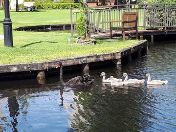 Holiday Apartment for 4 People in East Perth, Perth, Photo 1