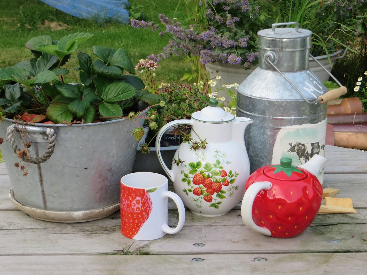 Ganze Wohnung, Ferienwohnung Seeschwalbe" mit Gemeinschaftsgarten, Balkon und Wlan in Elisabeth-Sophien-Koog, Nordstrand