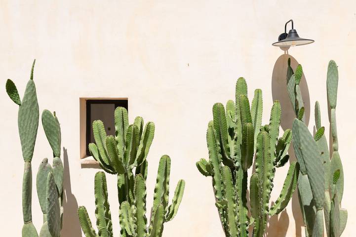 Location de vacances pour 2 personnes, avec jardin à Francavilla Fontana - 4
