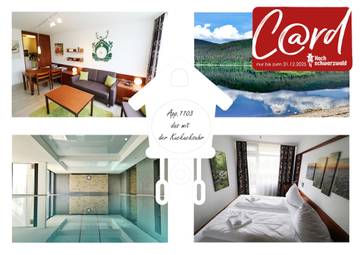 Ferienwohnung für 4 Personen, mit Sauna und Balkon in Schluchsee