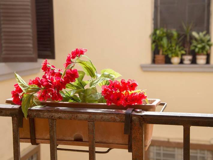 Chambre d’hôte pour 2 personnes, avec jardin à Torre Annunziata - 4