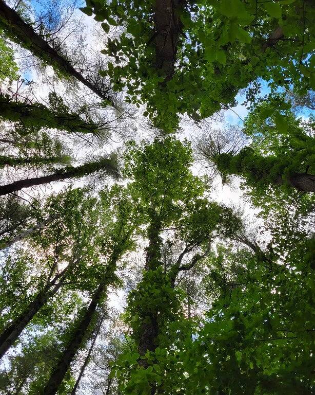 Vacation house for 6 people, with terrace - 1