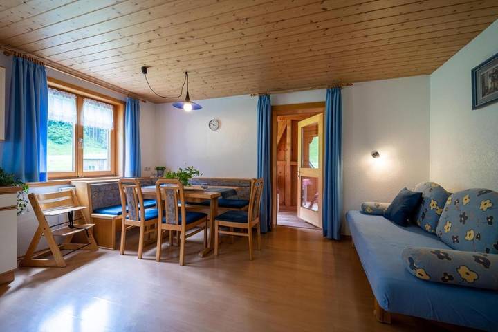 Gîte pour 5 personnes, avec jardin et vue à Schoppernau - 4