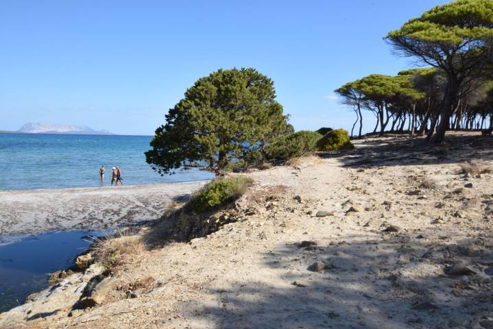 Gîte pour 6 personnes, avec balcon à Tanaunella - 3