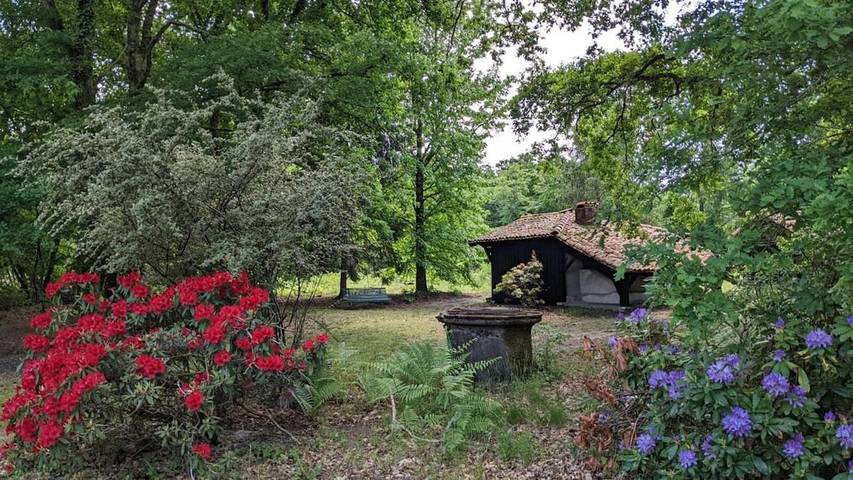 Location de vacances pour 10 personnes, avec vue ainsi que jardin et piscine dans Sabres - 4