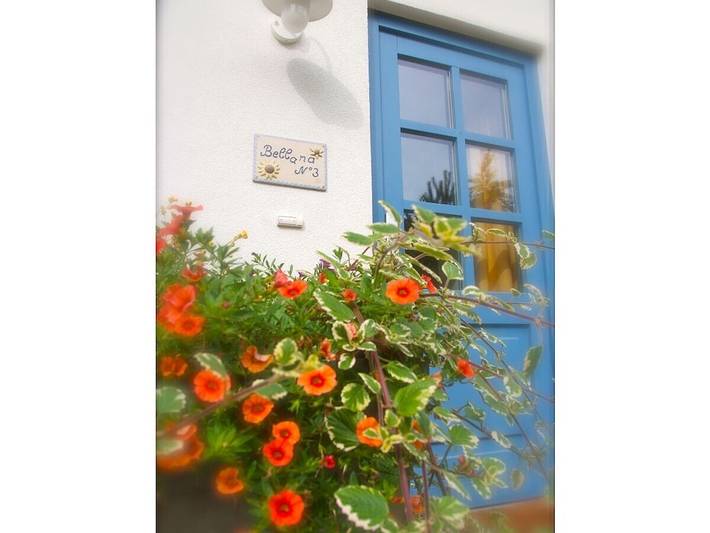 Ferienhaus für 4 Personen, mit Terrasse und Garten in Losheim am See - 3