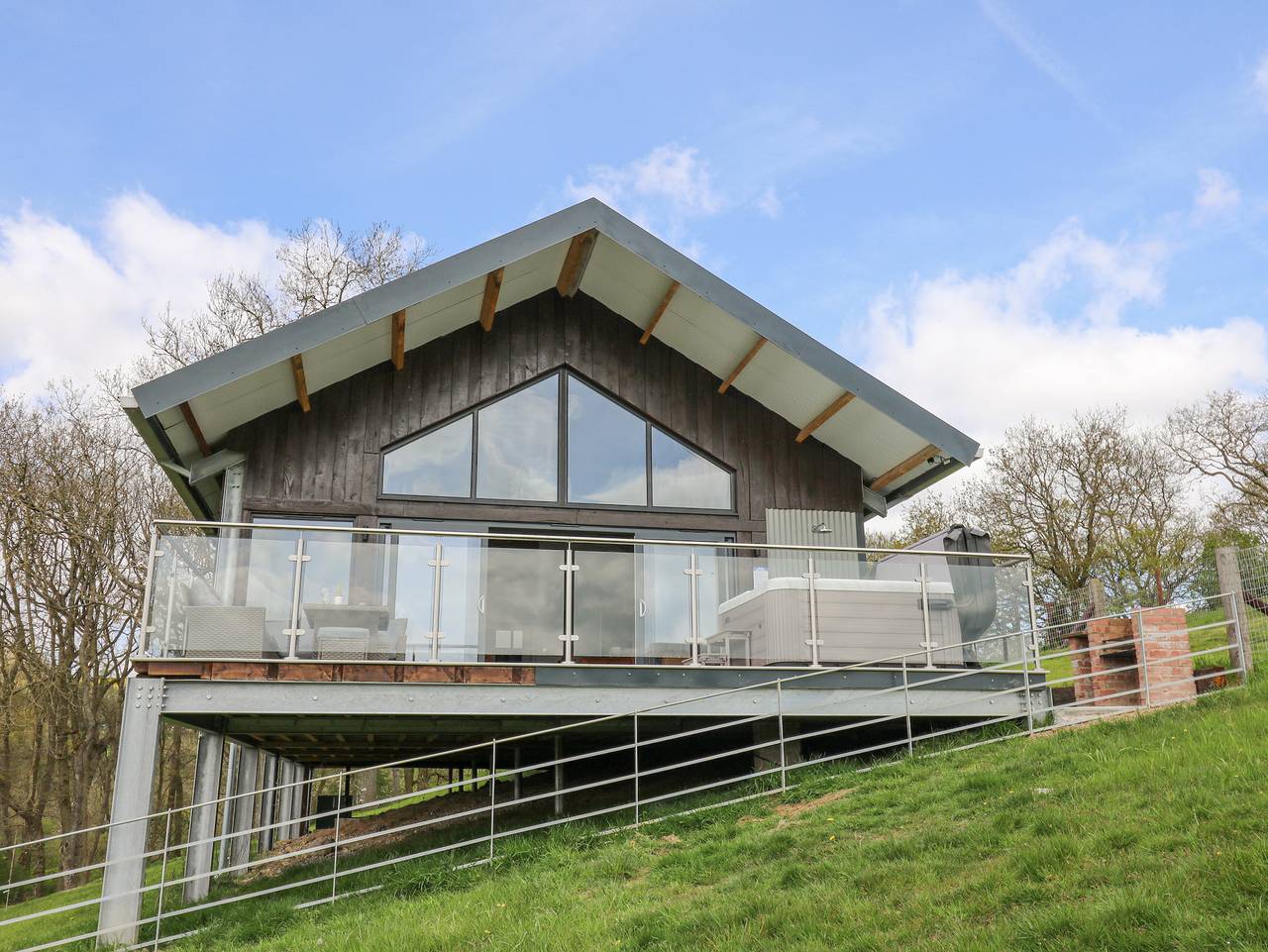Barcud Coch - Red Kite in Powys