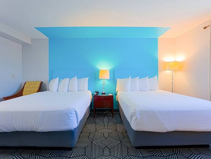 Hotel for 4 people, with pets - 1
