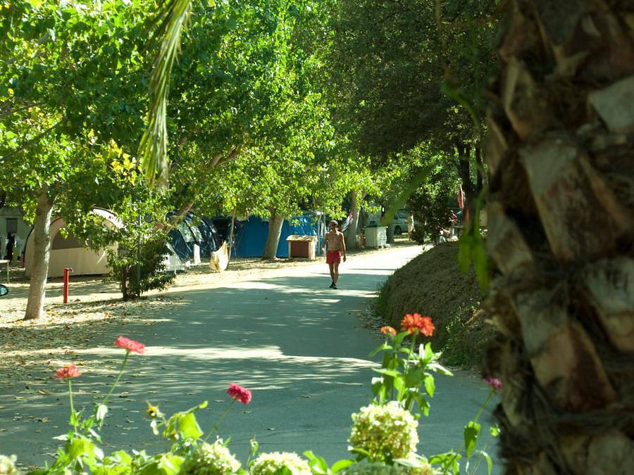 Camping La Liscia - Mobilheim 4 personen - 2 Schlafzimmer - 4 Personen in Tiuccia, Calcatoggio