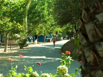 Bungalow für 4 Personen in Calcatoggio, Corse-du-Sud, Bild 4