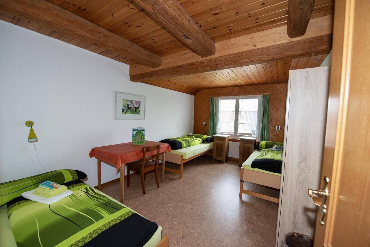 Ganze Ferienwohnung, Manser, Ferien beim Bauer (2.Stock) in Egnach, Bodensee (Schweiz)