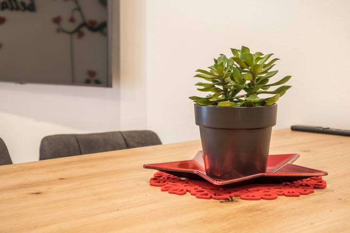 Entire studio, Studio Apartment 'Sweet Moon' with Mountain View, Private Terrace and Wi-Fi in Merano, Texel Group