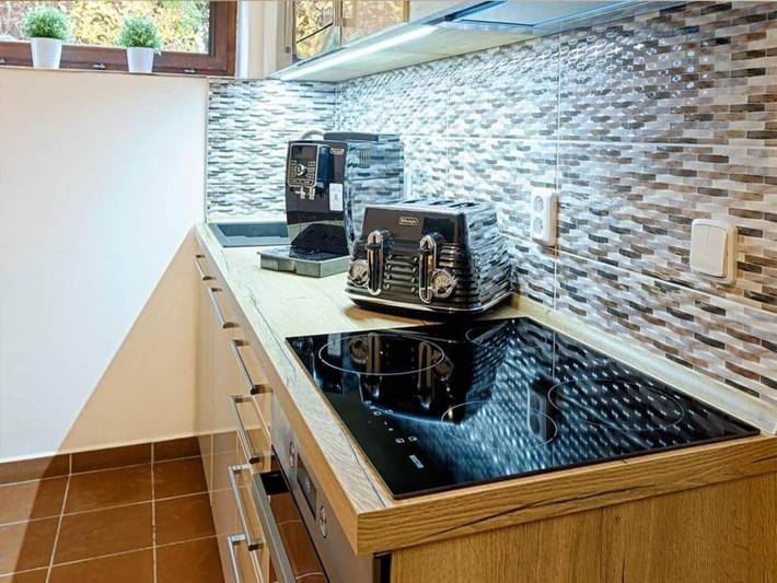 Ferienhaus für 12 Personen, mit Garten und Balkon, kinderfreundlich in Harrachov - 4