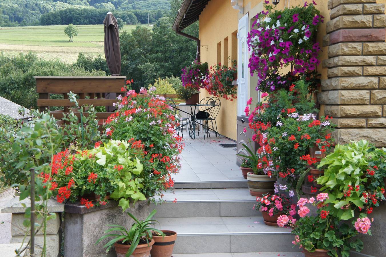 Ganze Wohnung, Ferienwohnung 'Gîte Les Collines' mit Bergblick, privater Terrasse und Wlan in Maisonsgoutte, Region Sélestat-Erstein