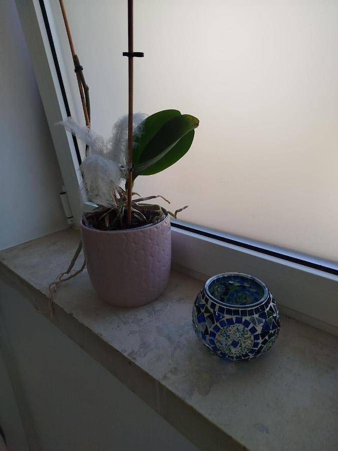 Gîte pour 6 personnes, avec terrasse dans Pombal - 3