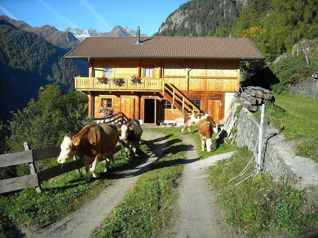 Ferienhaus/1 Schlafraum/ Dusche, Wc in Prägraten am Großvenediger, Bezirk Lienz