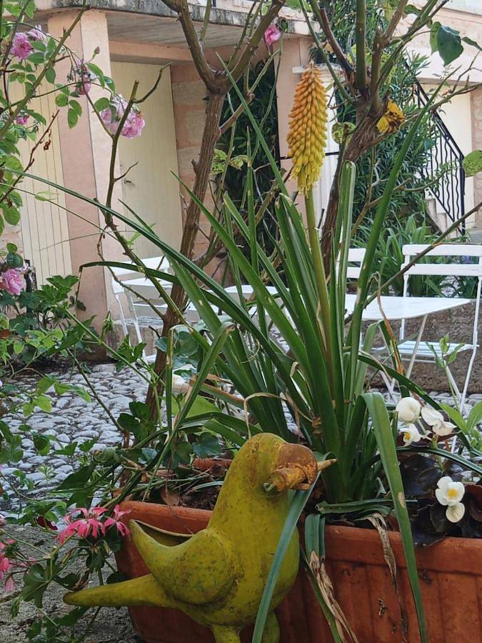 Ferienhaus für 5 Personen, mit Pool und Garten sowie Ausblick, mit Haustier in Bédoin - 2