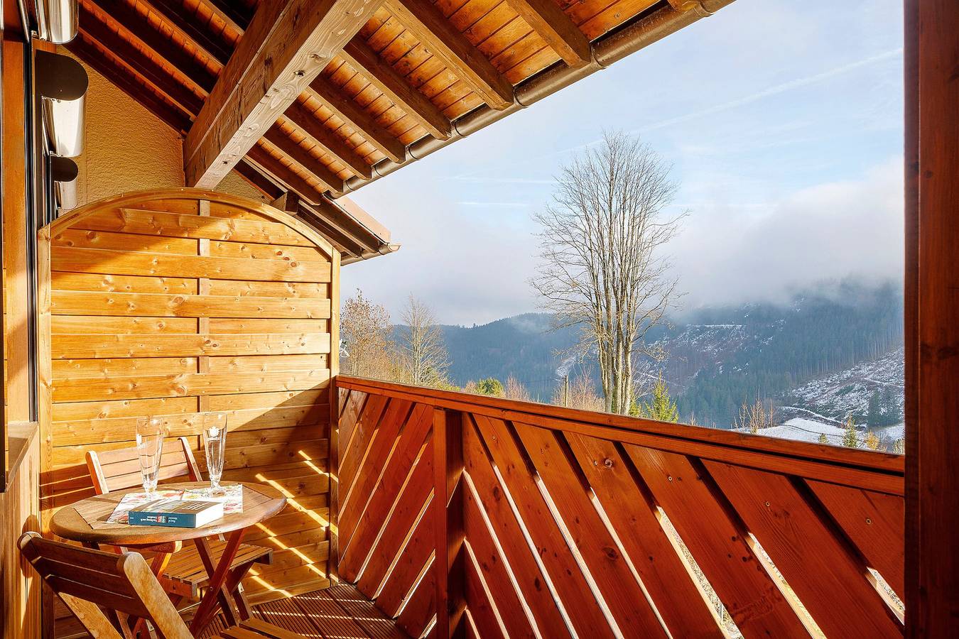 Ganze Wohnung, Ferienwohnung 'Haus Wintersonne - Fewo Libelle' mit Gemeinschaftsgarten, Balkon und Wi-Fi in Suedlicher Schwarzwald, Feldberg